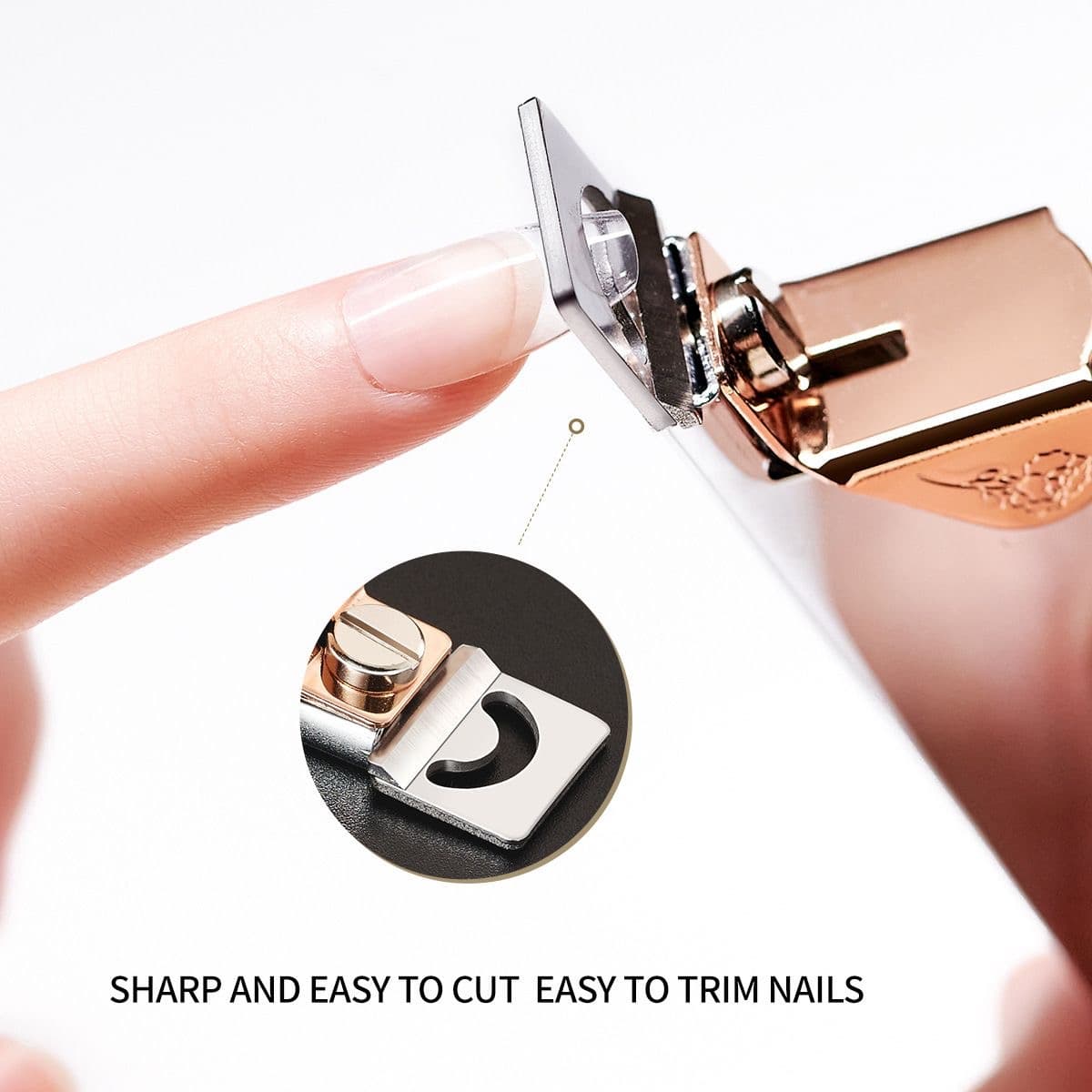 Coup Capsulle 2