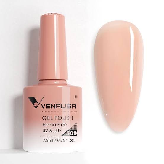 Vernis venalissa 509